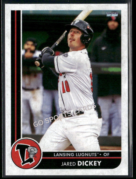 2025 Lansing Lugnuts Jared Dickey