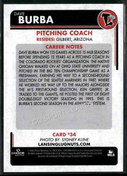 2025 Lansing Lugnuts Dave Burba
