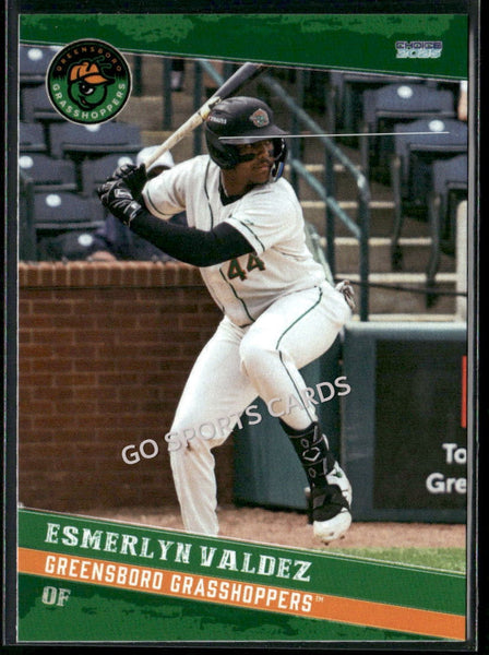 2025 Greensboro Grasshoppers Esmerlyn Valdez