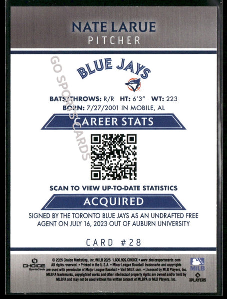 2025 Dunedin Blue Jays Nate Larue