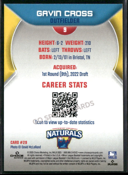2025 Northwest Arkansas Naturals Gavin Cross
