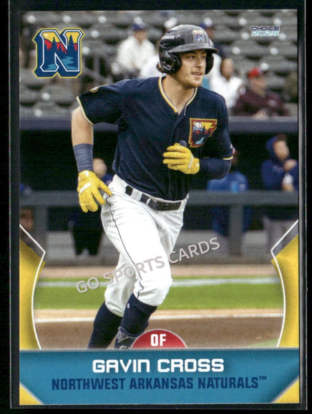 2025 Northwest Arkansas Naturals Gavin Cross