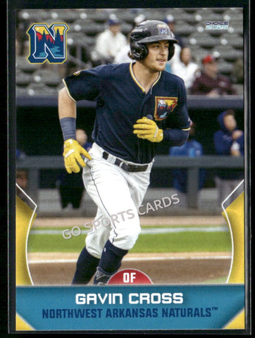 2025 Northwest Arkansas Naturals Gavin Cross