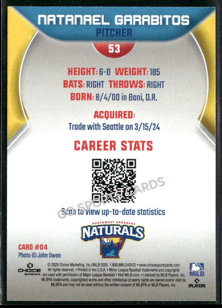 2025 Northwest Arkansas Naturals Natanael Garabitos
