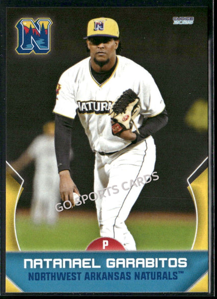 2025 Northwest Arkansas Naturals Natanael Garabitos