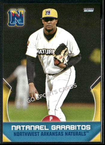 2025 Northwest Arkansas Naturals Natanael Garabitos