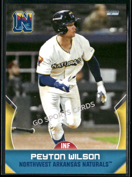 2025 Northwest Arkansas Naturals Peyton Wilson