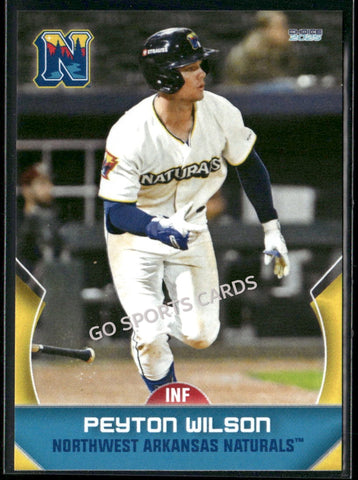 2025 Northwest Arkansas Naturals Peyton Wilson