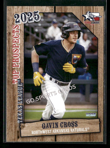 2025 Texas League Top Prospects Gavin Cross