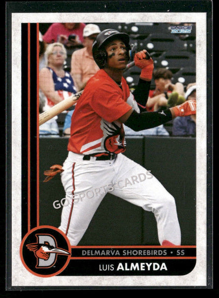 2025 Delmarva Shorebirds Luis Almeyda
