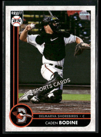 2025 Delmarva Shorebirds Caden Bodine