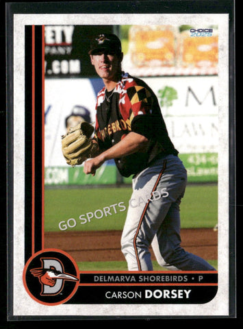 2025 Delmarva Shorebirds Carson Dorsey