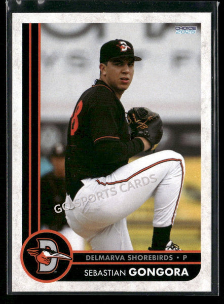 2025 Delmarva Shorebirds Sebastian Gongora