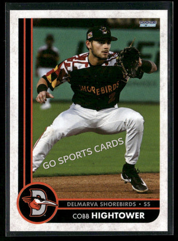 2025 Delmarva Shorebirds Cobb Hightower