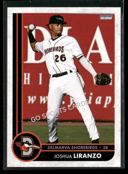 2025 Delmarva Shorebirds Joshua Liranzo
