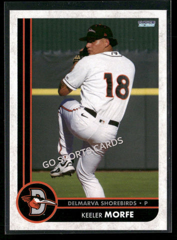 2025 Delmarva Shorebirds Keeler Morfe