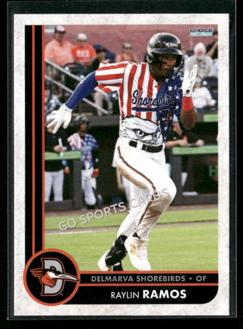2025 Delmarva Shorebirds Raylin Ramos