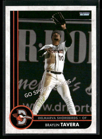 2025 Delmarva Shorebirds Braylin Tavera