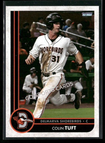 2025 Delmarva Shorebirds Colin Tuft