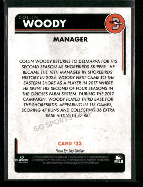 2025 Delmarva Shorebirds Collin Woody
