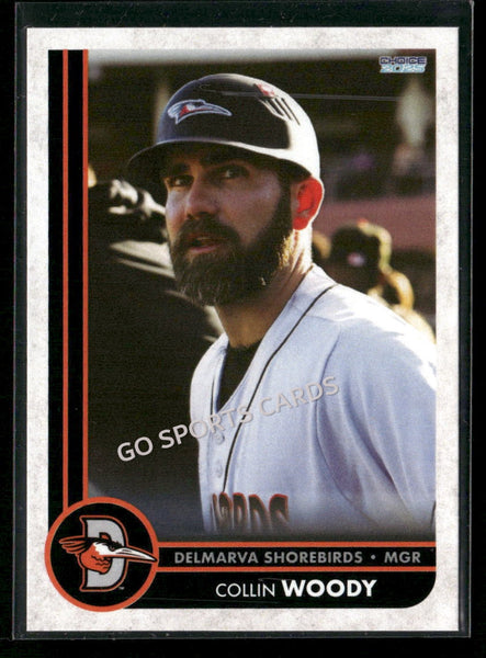 2025 Delmarva Shorebirds Collin Woody