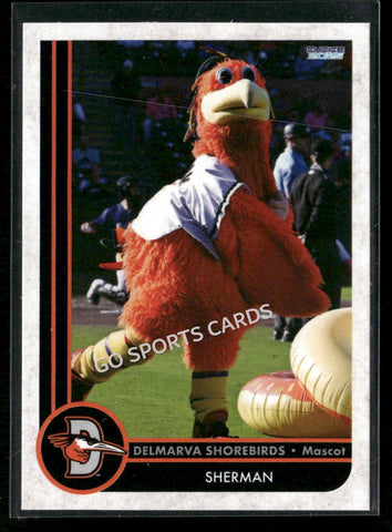 2025 Delmarva Shorebirds Sherman Mascot