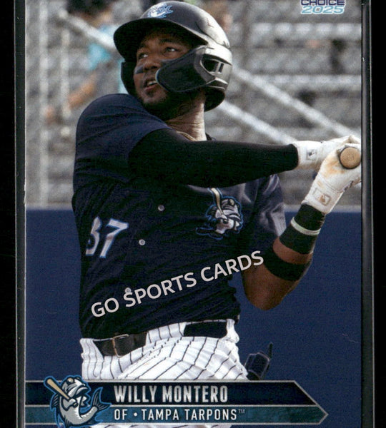 2025 Tampa Tarpons Willy Montero