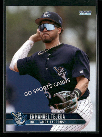 2025 Tampa Tarpons Enmanuel Tejeda