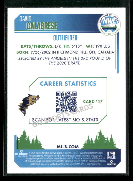 2025 Northwest League Top Prospects NWL #2 David Calabrese