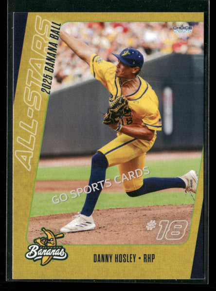 2025 Banana Ball All Stars Danny Hosley