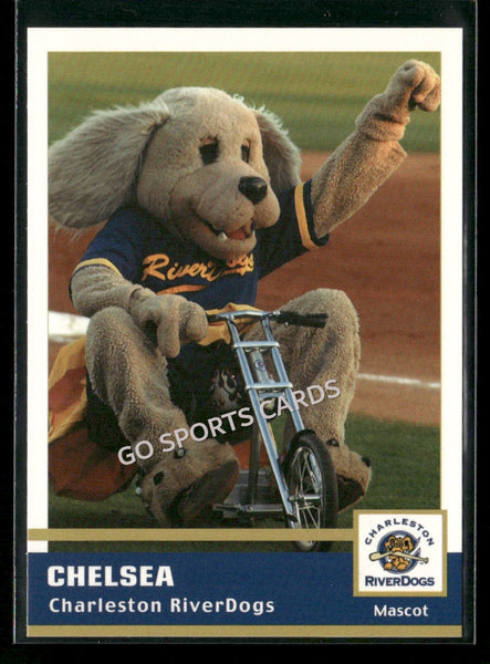 2005 Charleston RiverDogs Chelsea Mascot