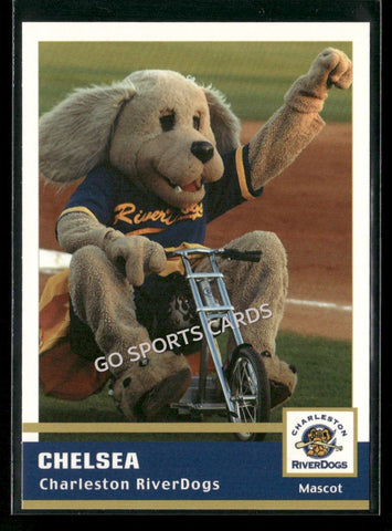 2005 Charleston RiverDogs Chelsea Mascot