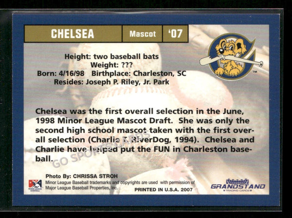 2007 Charleston RiverDogs Chelsea Mascot
