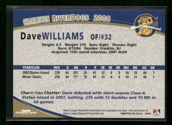 2008 Charleston Riverdogs Dave Williams