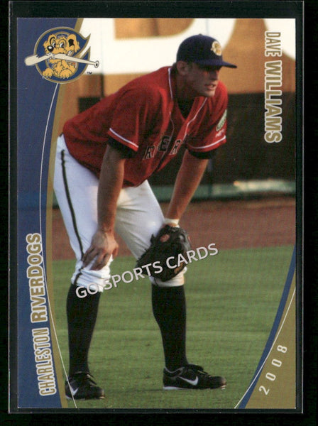 2008 Charleston Riverdogs Dave Williams