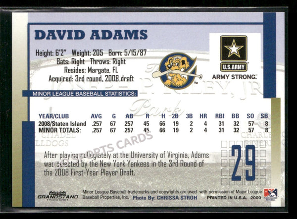 2009 Charleston RiverDogs David Adams