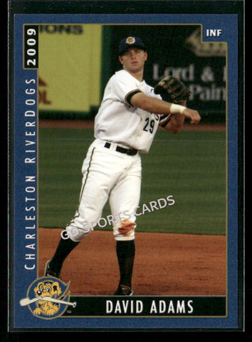2009 Charleston RiverDogs David Adams