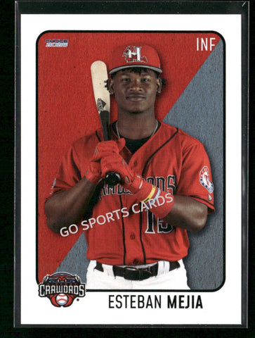 2026 Hickory Crawdads 1st Esteban Mejia