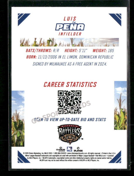 2026 Midwest League Top Prospects Luis Pena