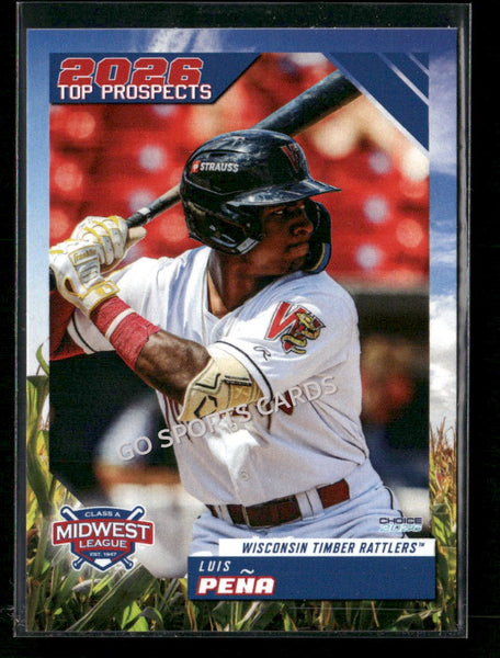 2026 Midwest League Top Prospects Luis Pena