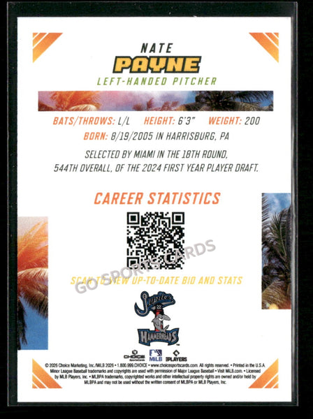 2026 Florida State League Top Prospects Nate Payne