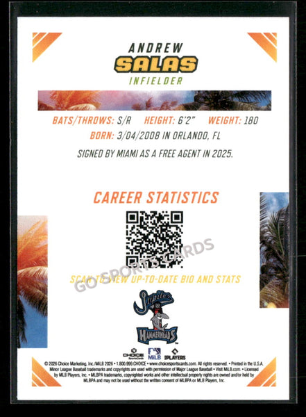 2026 Florida State League Top Prospects Andrew Salas