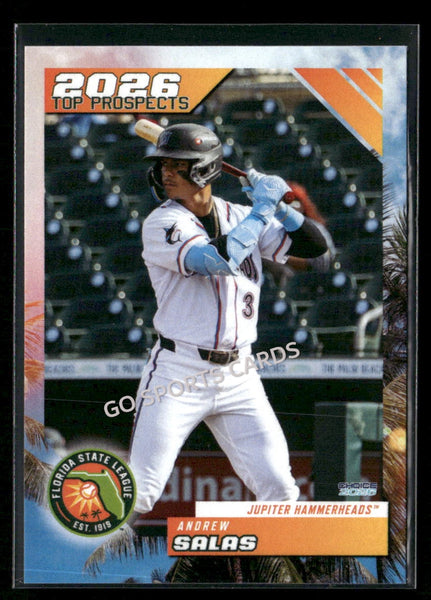 2026 Florida State League Top Prospects Andrew Salas