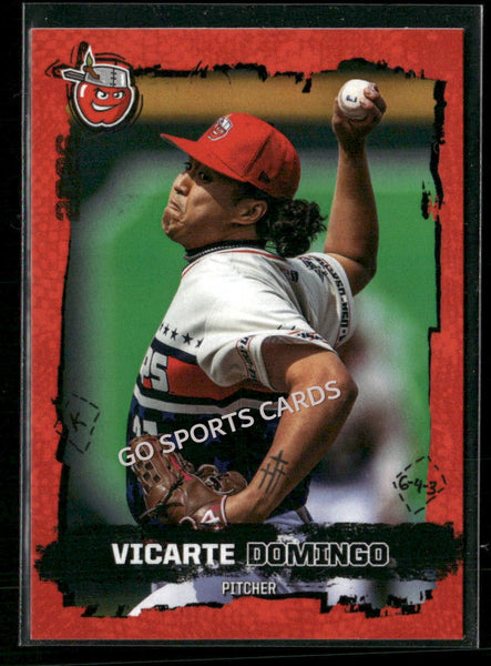 2026 Fort Wayne TinCaps Vicarte Domingo
