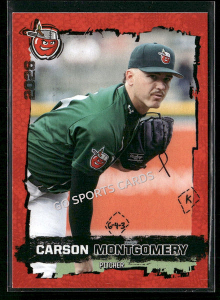 2026 Fort Wayne TinCaps Carson Montgomery