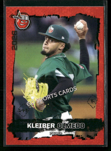 2026 Fort Wayne TinCaps Kleiber Olmedo