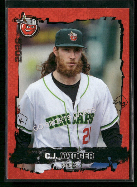 2026 Fort Wayne TinCaps CJ Widger