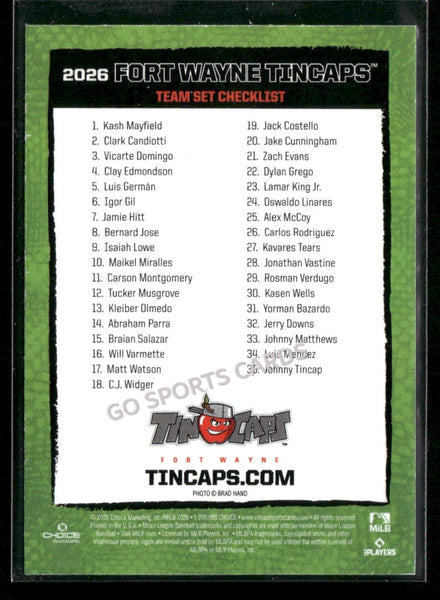 2026 Fort Wayne TinCaps Johnny TinCap Mascot Checklist