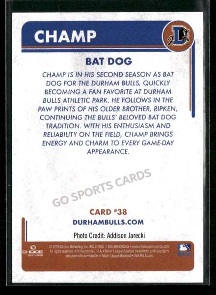 2026 Durham Bulls Champ Bat Dog