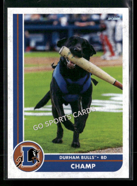 2026 Durham Bulls Champ Bat Dog